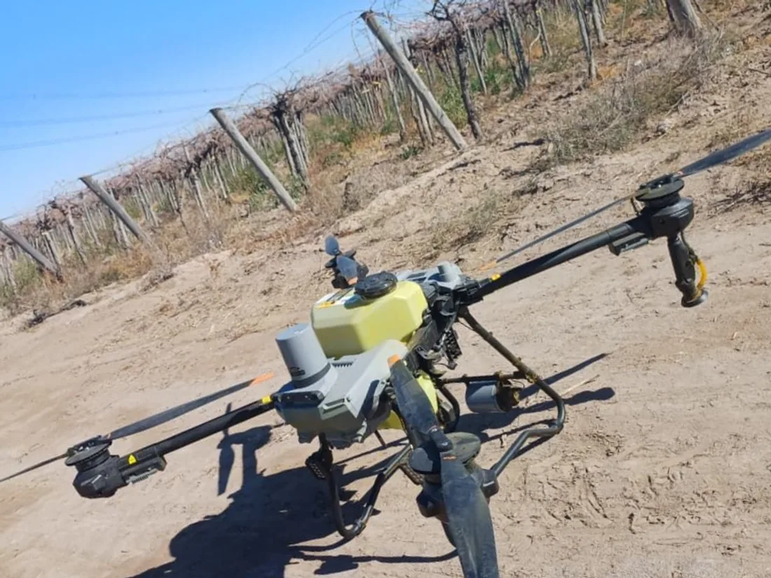 Drone agrícola DJI Agras T25P junto a un parral en Mendoza